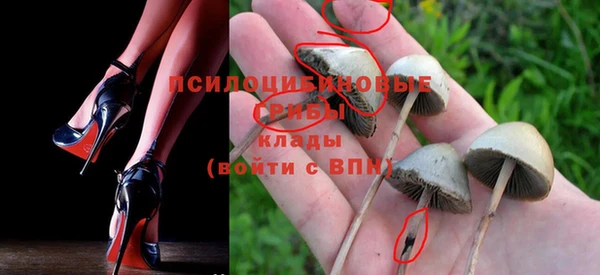 Альфа ПВП Алзамай